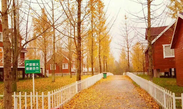 美麗的營地