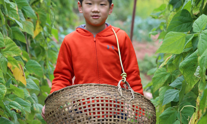小小農(nóng)作家