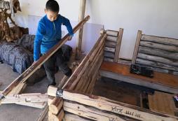 來青自然夏令營當(dāng)一名森林建造師