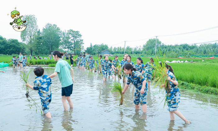 陜西夏令營有哪些