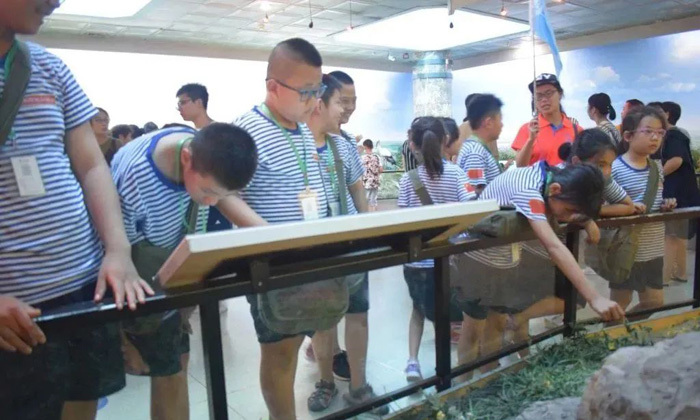 陜西研學夏令營哪家好