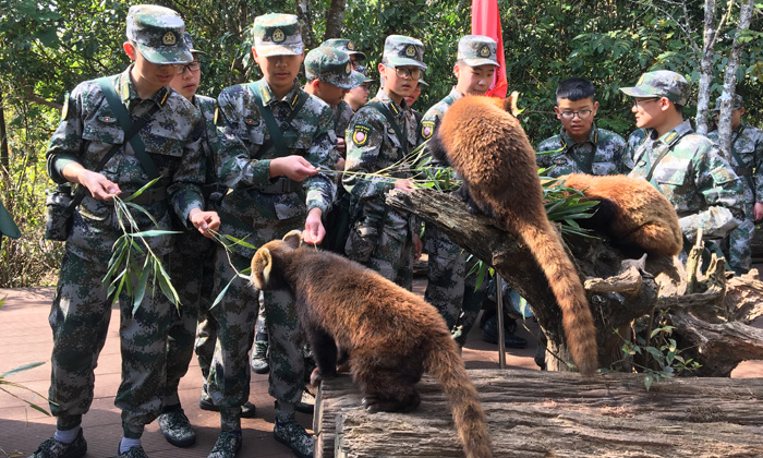 山東少兒軍事夏令營(yíng)