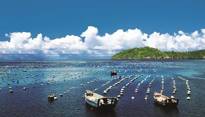 山東適合小學(xué)生的夏令營(yíng)