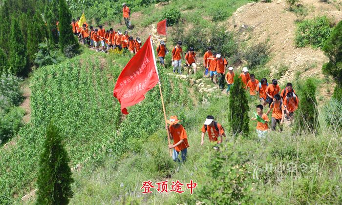山東夏令營