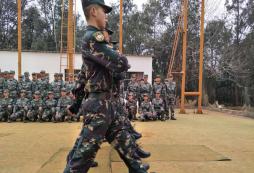 暑假應(yīng)該讓孩子參加山東軍事訓(xùn)練營(yíng)嗎？