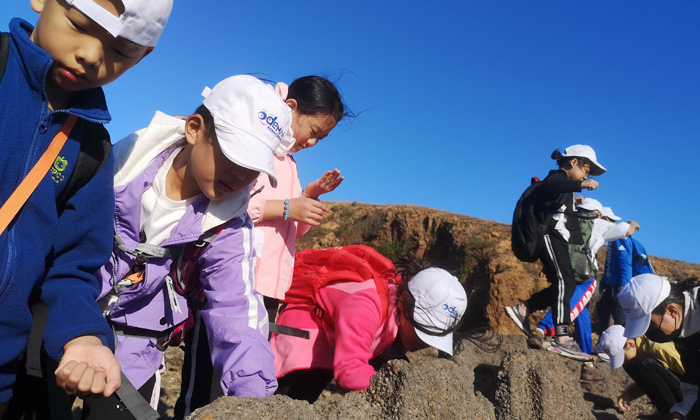 山東小學(xué)生夏令營多少錢