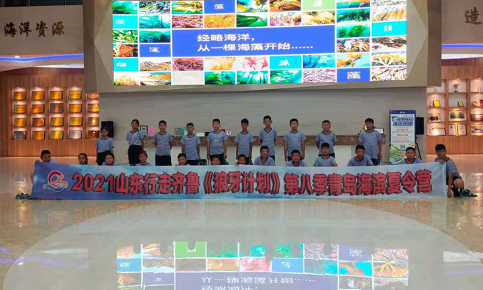 山東夏令營(yíng)怎么樣