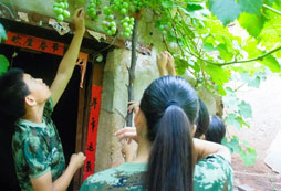 臨沂市附近中小學生參加的吃苦夏令營多少錢？