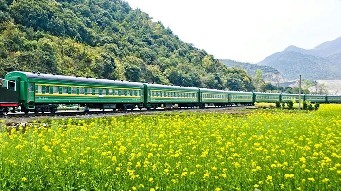 山東省內(nèi)軍事夏令營