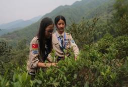 小學(xué)生應(yīng)該參加山東夏令營活動嗎？