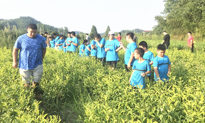 上海哪個兒童夏令營好