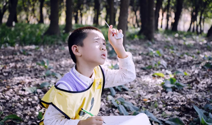 上海附近哪里有學(xué)生夏令營(yíng)多少錢