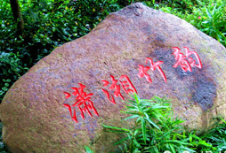 上海古猗園