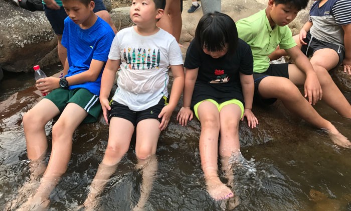 上海夏令營排行榜
