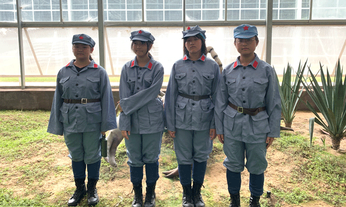 上海青少年軍事夏令營哪里好