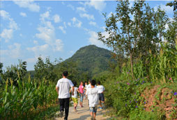 選擇上海游學(xué)夏令營應(yīng)注意的問題