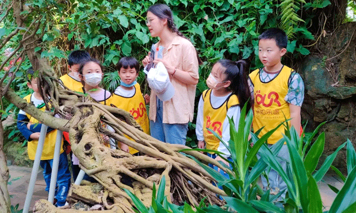 邵陽青少年夏令營有哪些