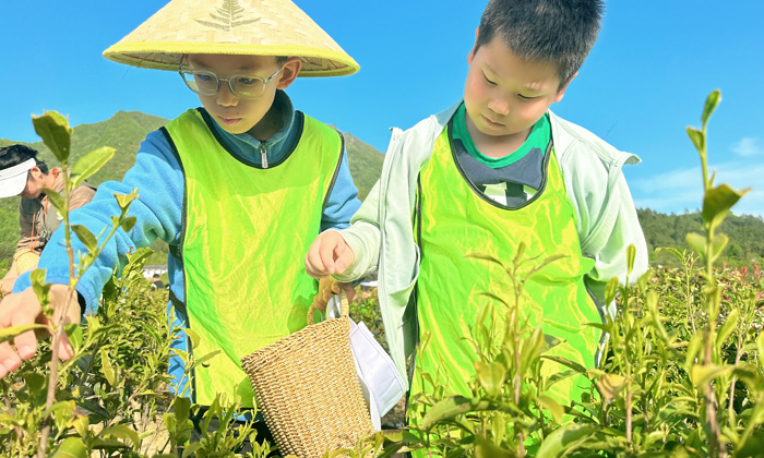 小學(xué)生野外生存夏令營報名多少錢