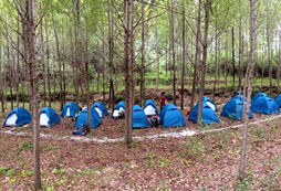 參加野外生存夏令營對中學(xué)生有哪些收獲