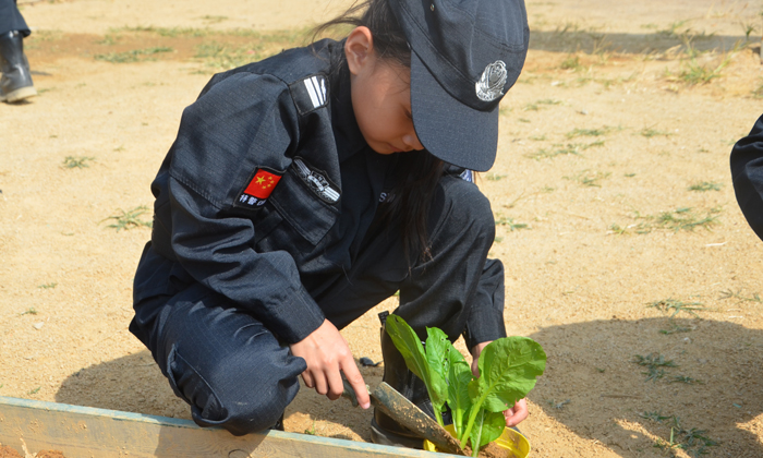 深圳假期集訓營入營攻略.jpg