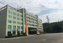 深圳小學(xué)生暑期夏令營(yíng)怎么安排？