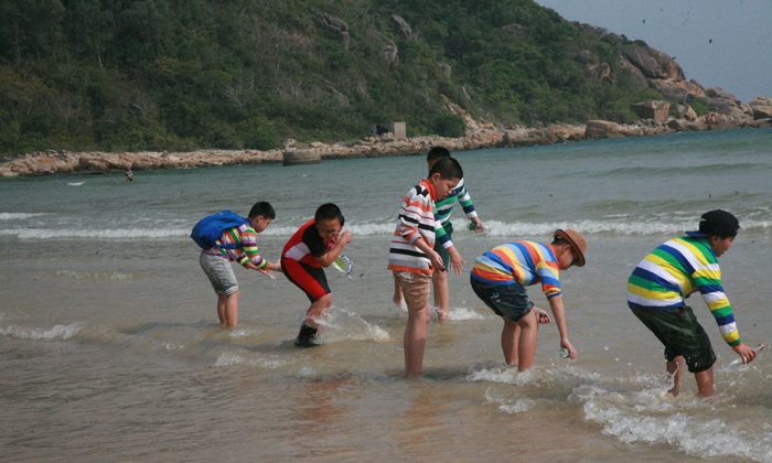 深圳小學(xué)生夏令營