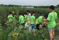石家莊戶外拓展夏令營五要素有哪些？