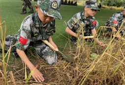 好的暑假夏令營有哪些，正規(guī)機(jī)構(gòu)報(bào)名