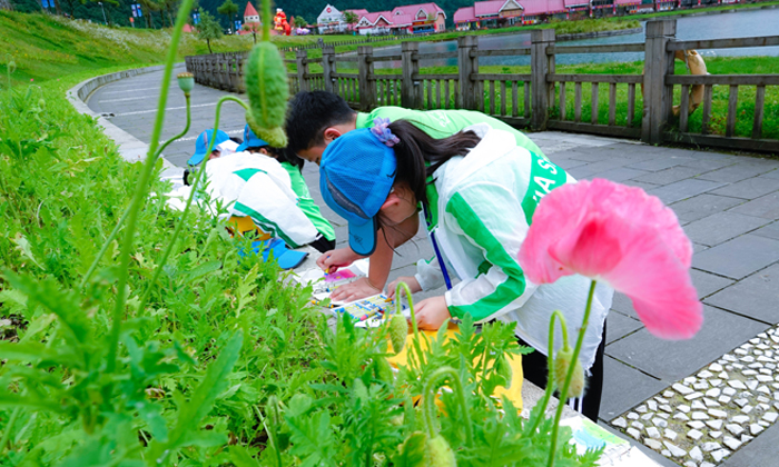 四川7天夏令營多少錢