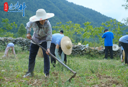 四川中學(xué)生夏令營(yíng)哪里有？熱門(mén)活動(dòng)營(yíng)地介紹