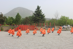 團隊武術訓練