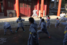 習(xí)禮明義、拜師習(xí)武