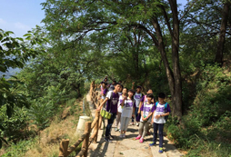青少年軍事夏令營的孩子行于路上學(xué)在途中