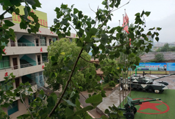 下雨過后的夏令營基地