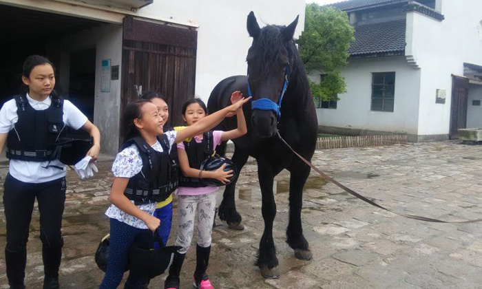 上海夏令營哪個機構(gòu)比較好