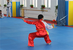 中華武術(shù)訓練