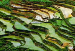 臺(tái)北游學(xué)夏令營(yíng)如何保障營(yíng)員的安全？