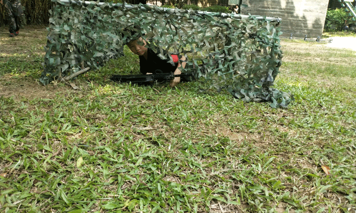 e0ae76a135d7bf9d84139a6d6e6c9c56.gif