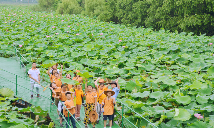 小學生探索發(fā)現(xiàn)夏令營報名多少錢