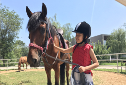 可以周末參加的騎馬夏令營一節(jié)課多少錢？