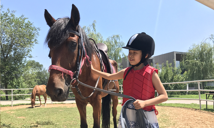 青少年馬術體育夏令營
