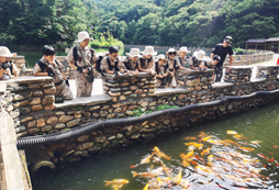 看魚(yú)