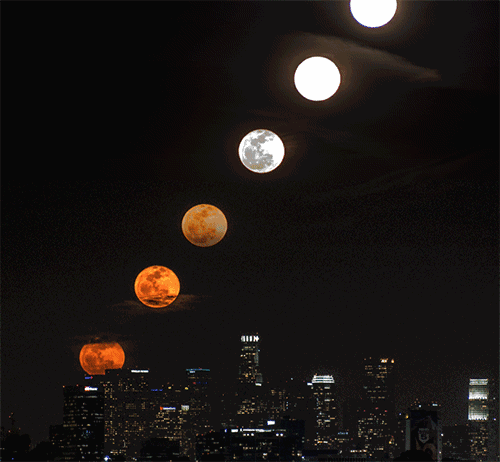 8404467d04ae4d14b8c8e9ec751f81f7.gif