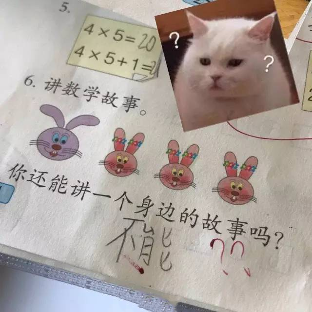 11.png