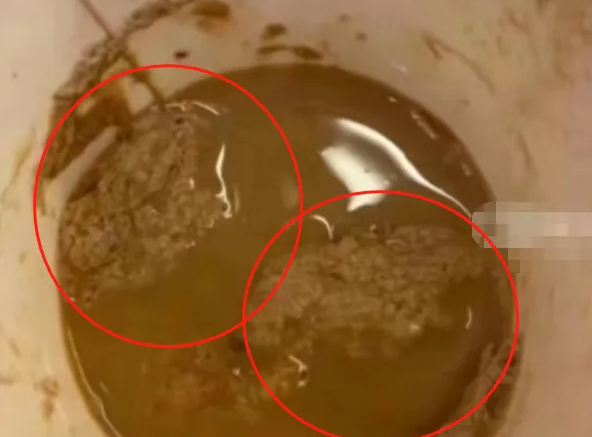 痛快！給女同學下藥的男生被上外開除，品行不端的「學霸」，比純粹的壞人更可怕