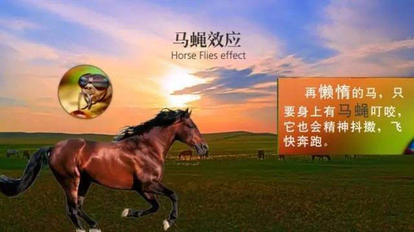 ef337bcee9ea6f2a561a01eb0d09ba0a.jpeg