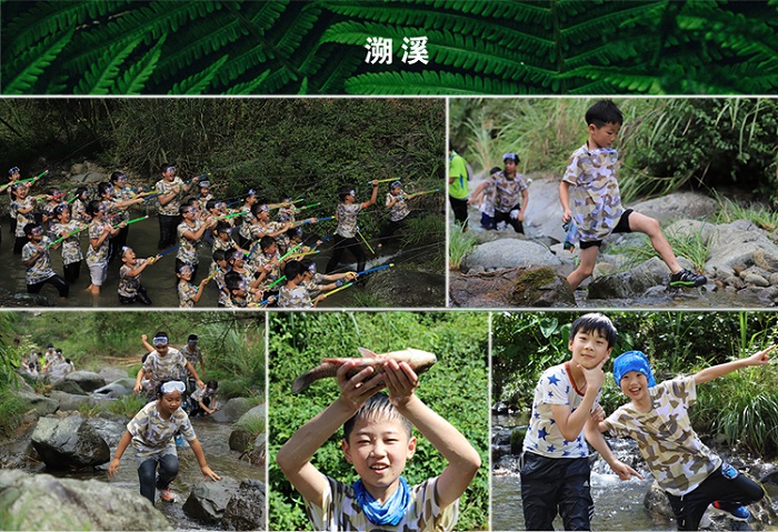 6450b6dae3ac2f896e6b9a87bd43ead6.jpg