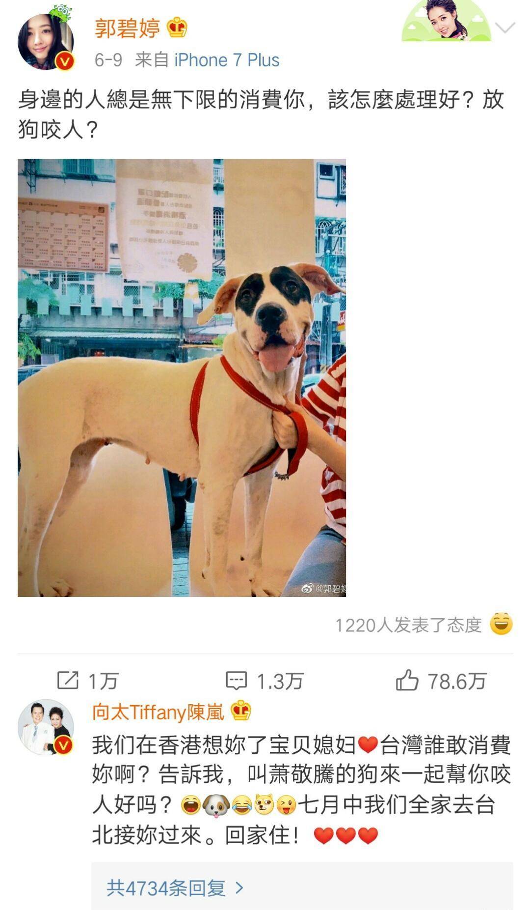 8cdb6b40263440ada6a67b138d4114bf.jpeg