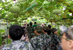 為什么參加成都super軍事拓展夏令營