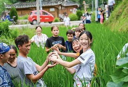 拓展夏令營費用是多少！